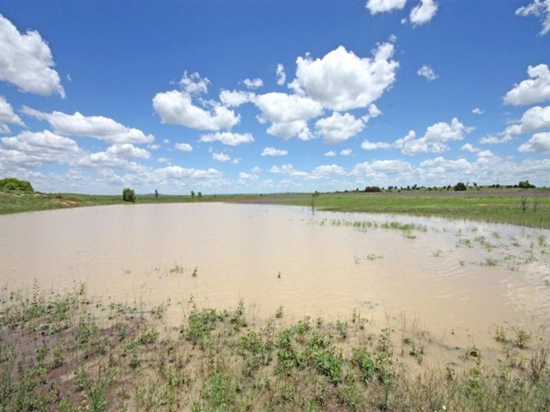 Thangool QLD 4716