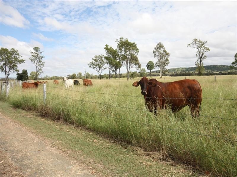 60 Cox-Millards Road, Biloela QLD 4715