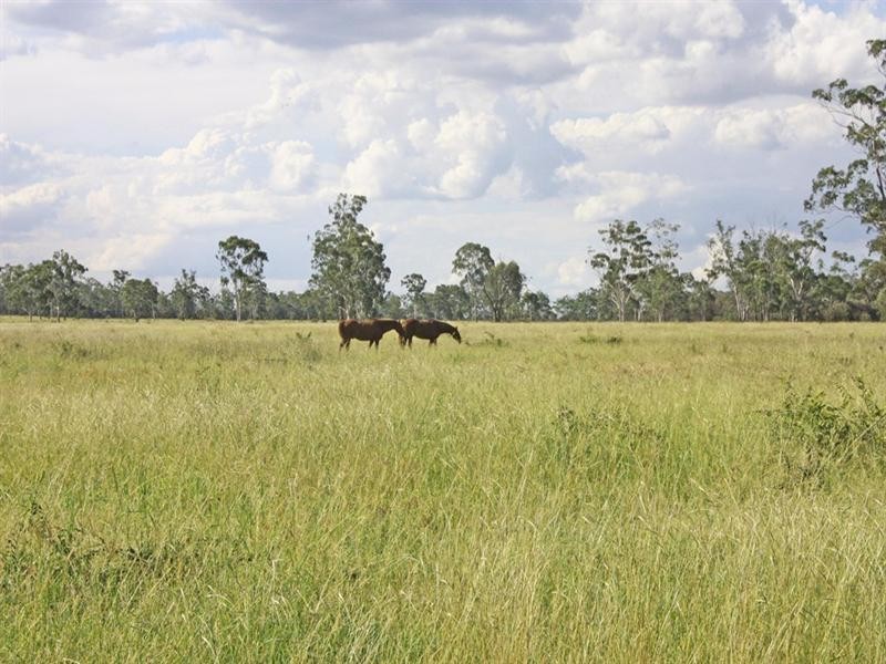 Goovigen QLD 4702