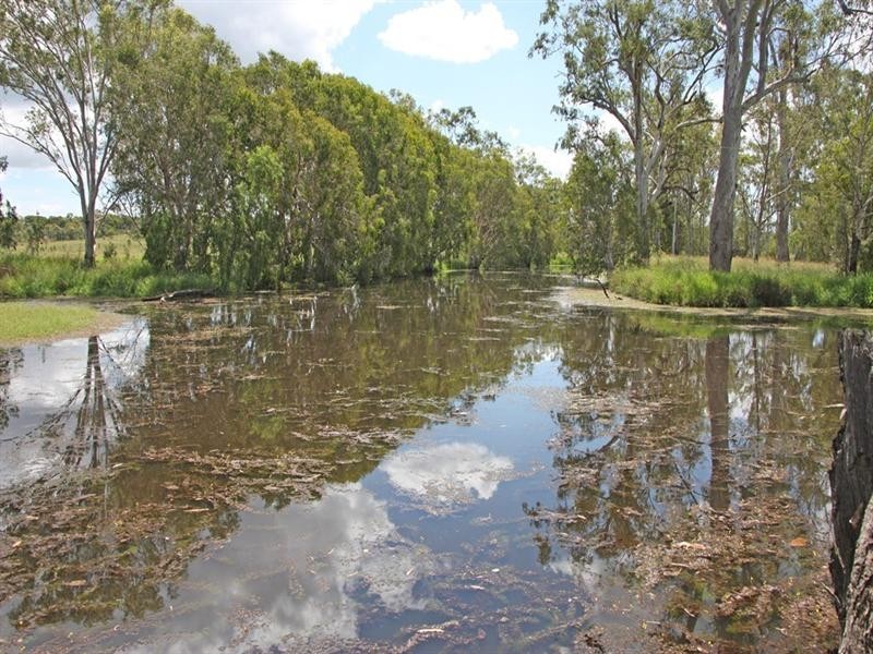 Marlborough QLD 4705