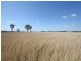 Bauhinia QLD 4718