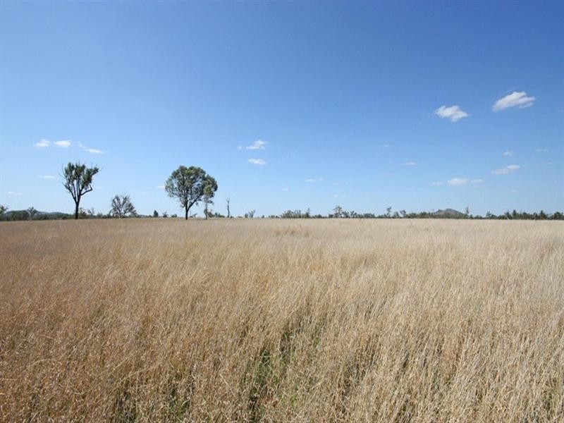 Bauhinia QLD 4718