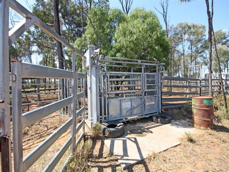 Bauhinia QLD 4718