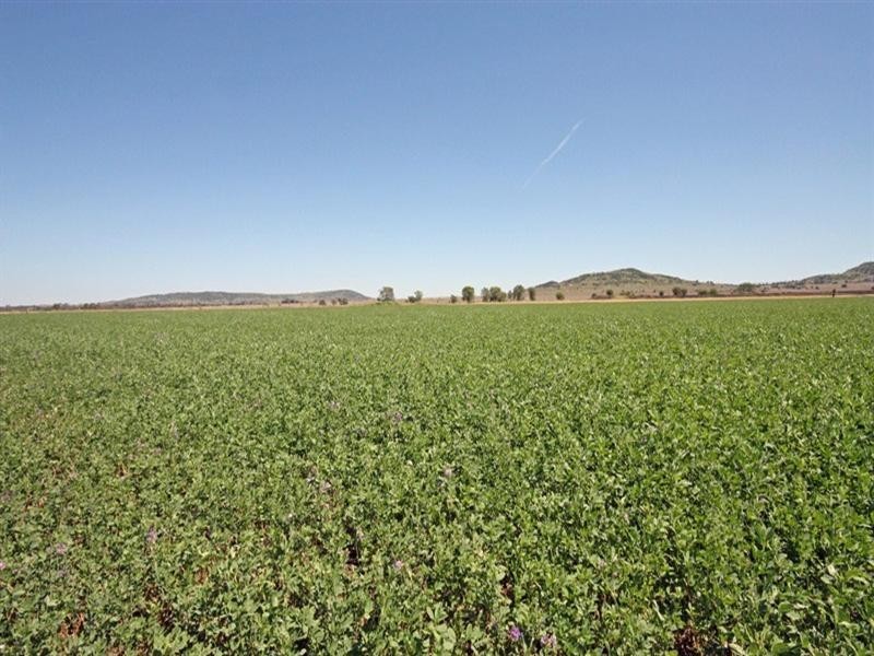 38932 Burnett Highway, Thangool QLD 4716