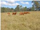 Gin Gin QLD 4671