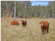 Gin Gin QLD 4671