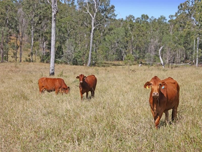 Gin Gin QLD 4671