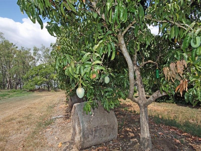 423 Meissners Road, Biloela QLD 4715