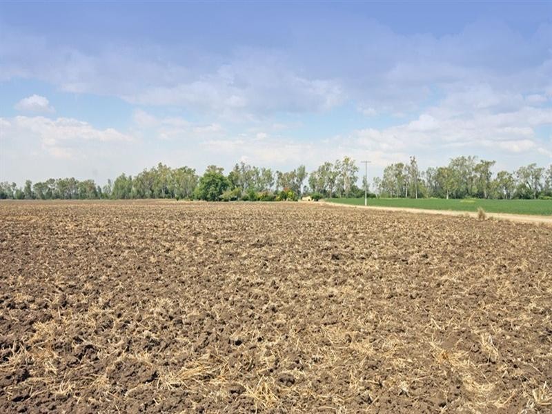 423 Meissners Road, Biloela QLD 4715