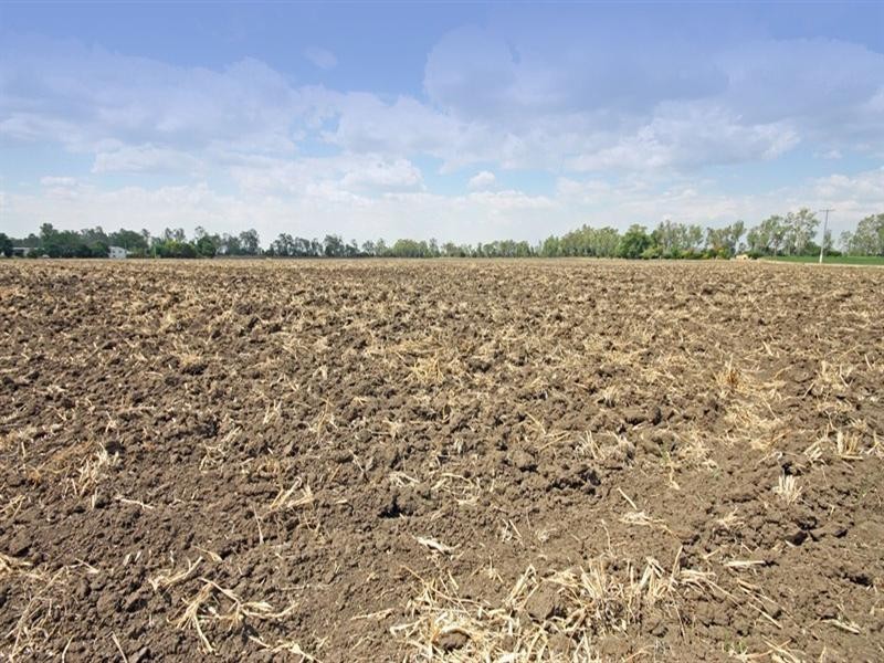 423 Meissners Road, Biloela QLD 4715