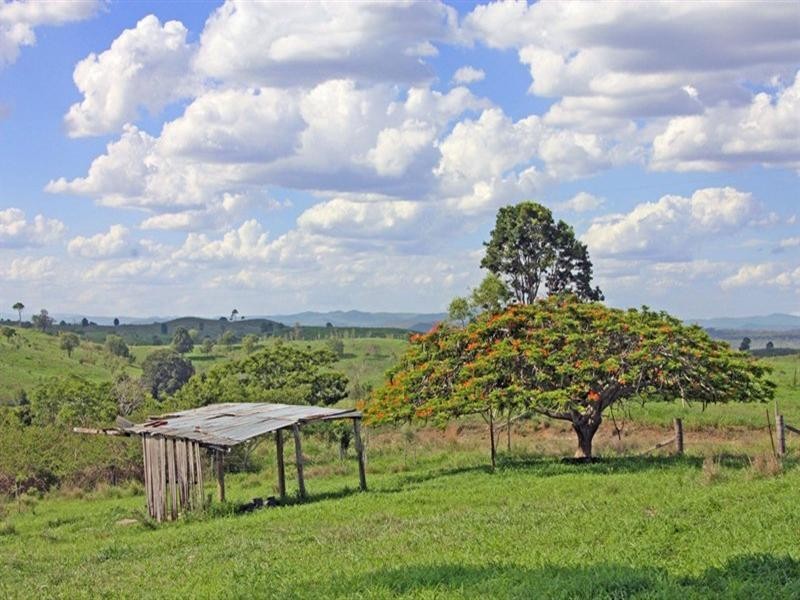 183 Bukali Scrub Road, Monto QLD 4630