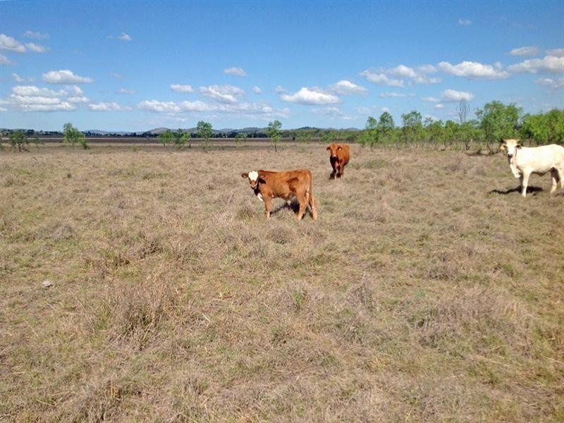 Dululu QLD 4702