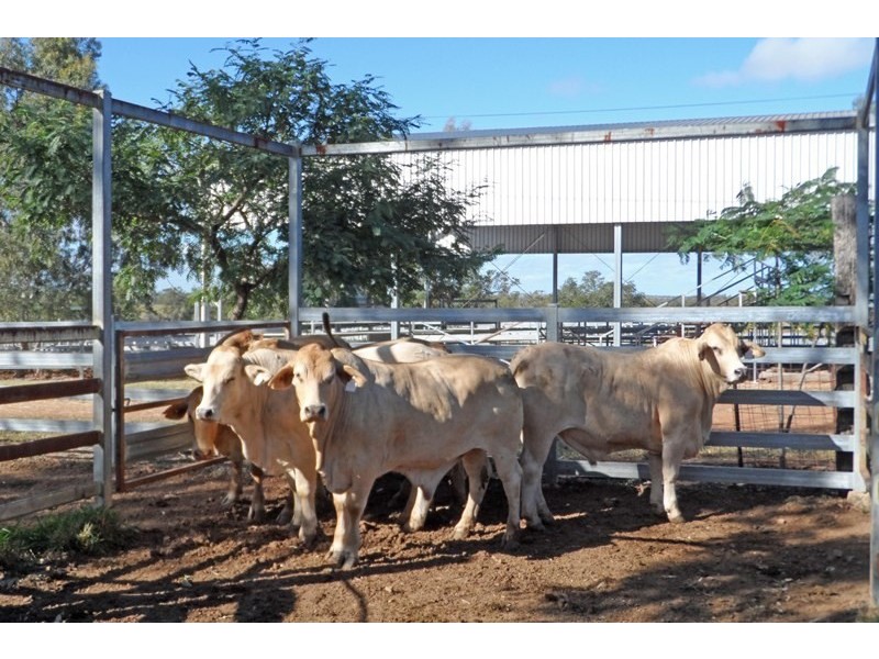 Baralaba QLD 4702