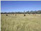 Monto QLD 4630