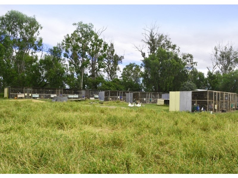 49 McLaughlins Road, Thangool QLD 4716