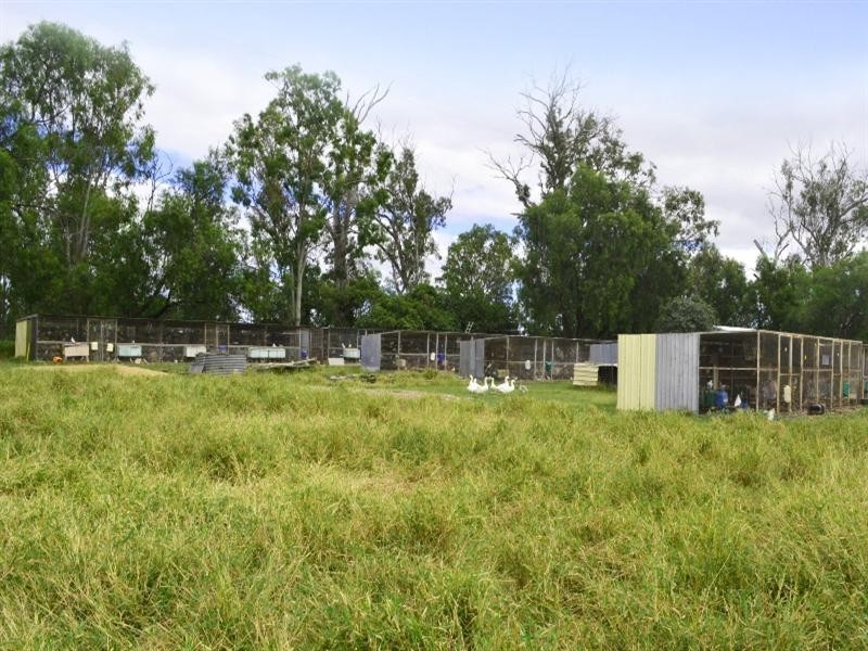 49 McLaughlins Road, Thangool QLD 4716