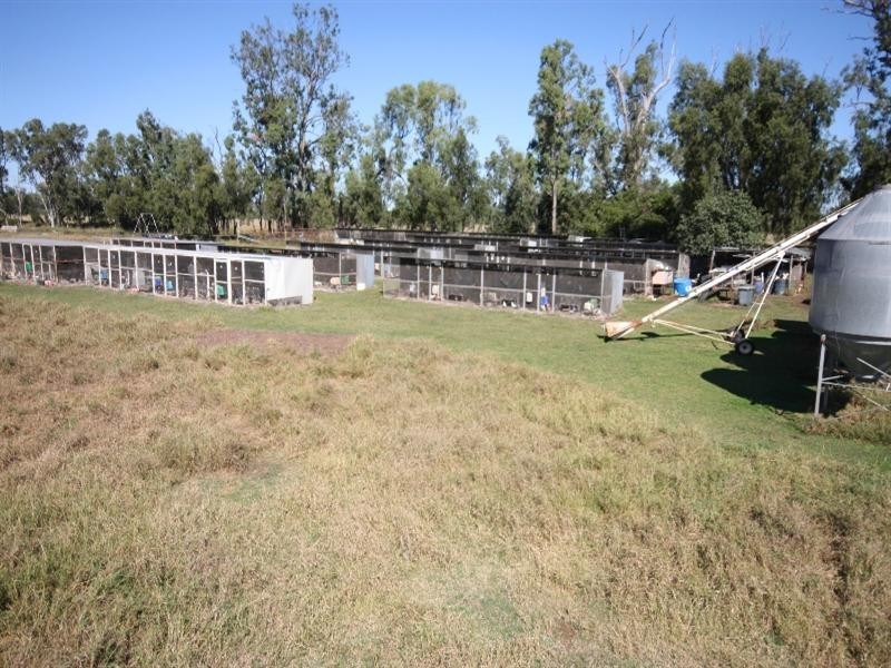 49 McLaughlins Road, Thangool QLD 4716