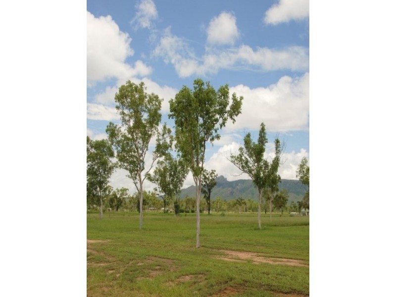 115 Retire Court, Alice River QLD 4817