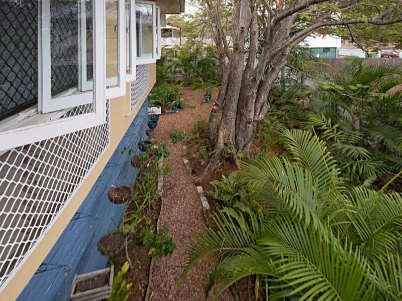 22 Wilkie Street, Heatley QLD 4814