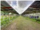71 Haynes Road, Jensen QLD 4818