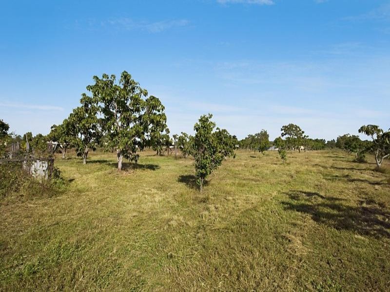 111 Black River Road, Black River QLD 4818