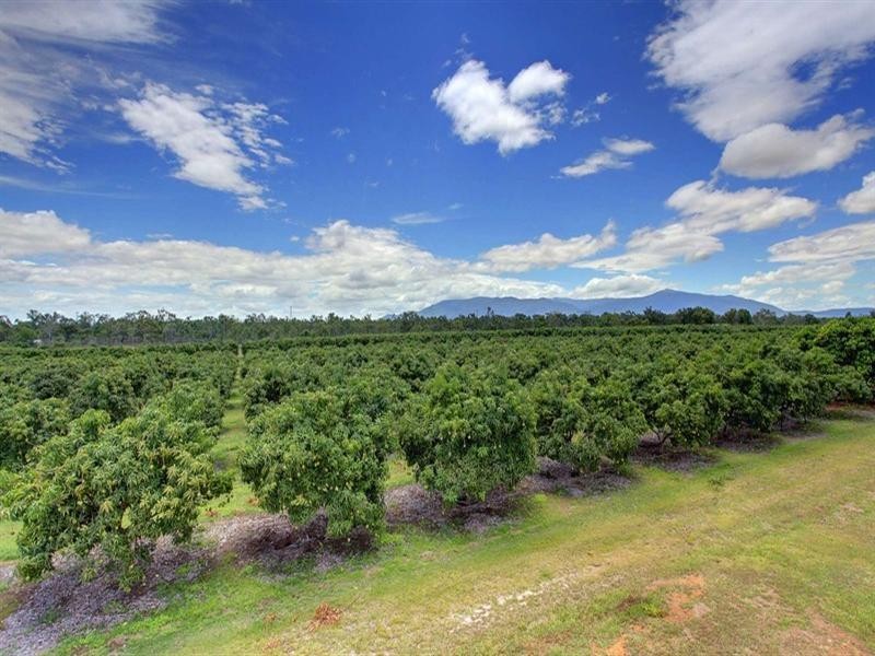 184 Dingo Park Road, Woodstock QLD 4816