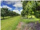 184 Dingo Park Road, Woodstock QLD 4816