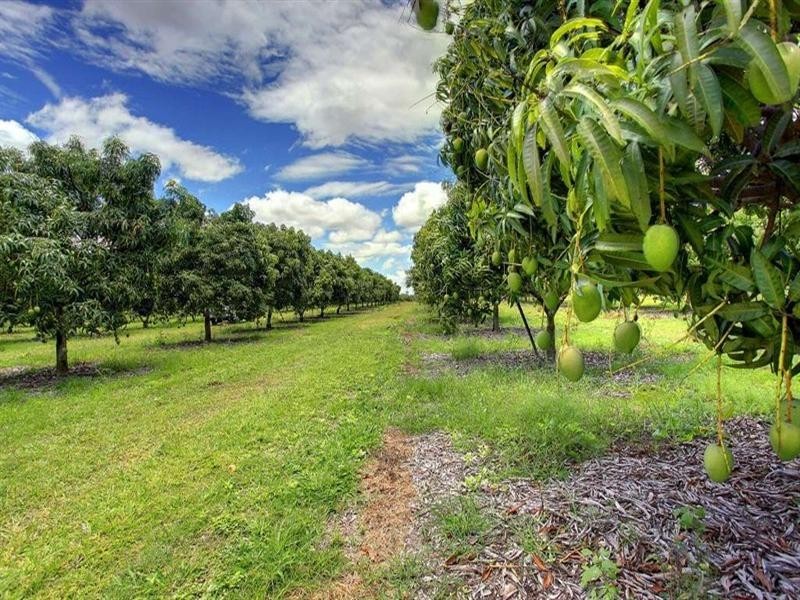 184 Dingo Park Road, Woodstock QLD 4816