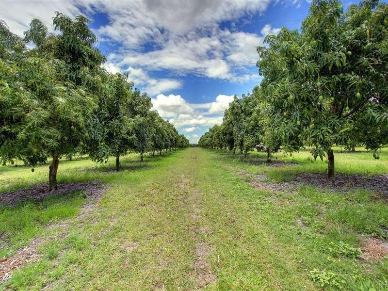 184 Dingo Park Road, Woodstock QLD 4816