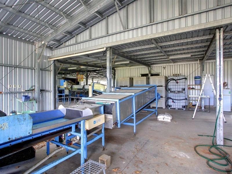 184 Dingo Park Road, Woodstock QLD 4816