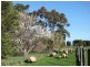 550 Lone Pine Road, Garfield VIC 3814