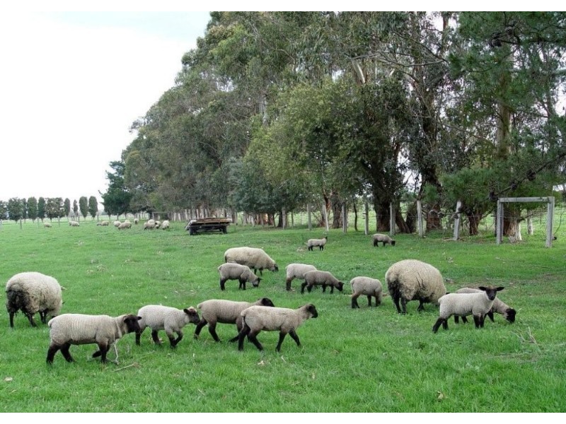 550 Lone Pine Road, Garfield VIC 3814