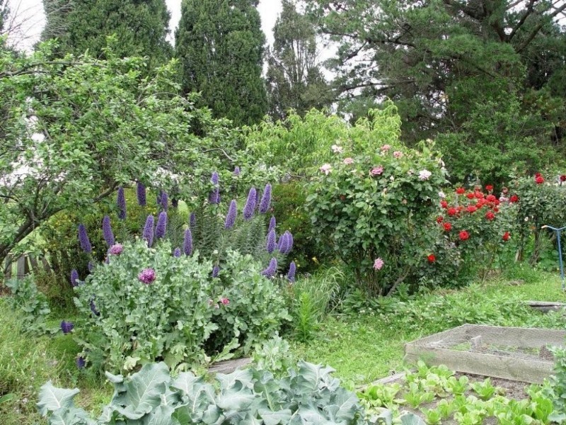 550 Lone Pine Road, Garfield VIC 3814