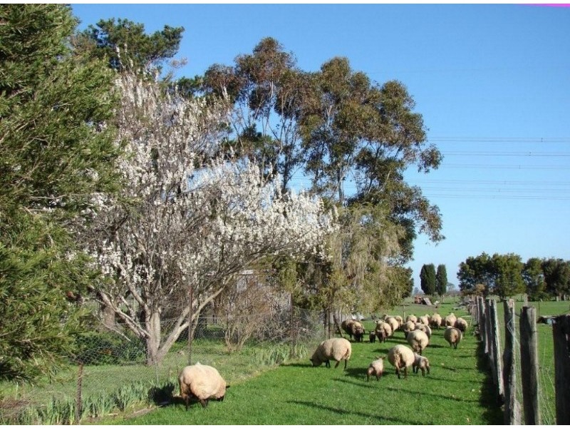 550 Lone Pine Road, Garfield VIC 3814