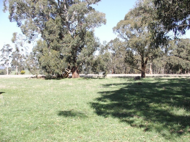 26 Burnt Store Road, Drouin South VIC 3818