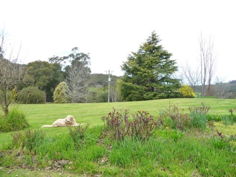 295 Mann Road, Pakenham Upper VIC 3810