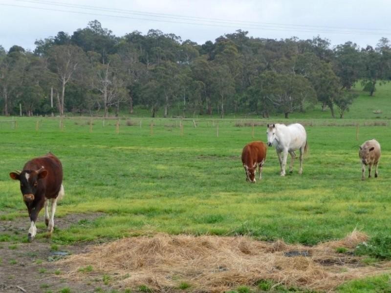 32A Henry Road, Bunyip VIC 3815