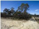Lot 2, 22 Riversdale Road, Tapitallee NSW 2540