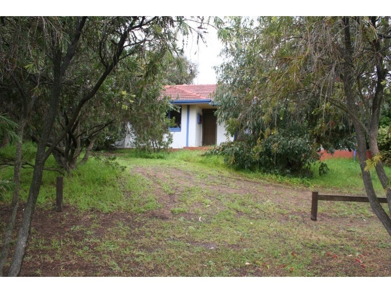 3 Edeline Street, Spearwood WA 6163