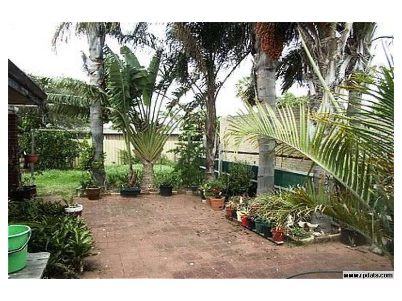 11 Norland Way, Spearwood WA 6163