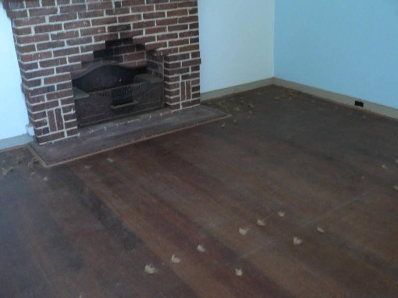 16 Blinco Street, Fremantle WA 6160