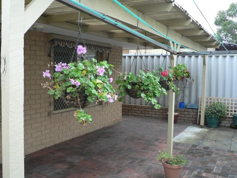 101 Adrian Street, Palmyra WA 6157