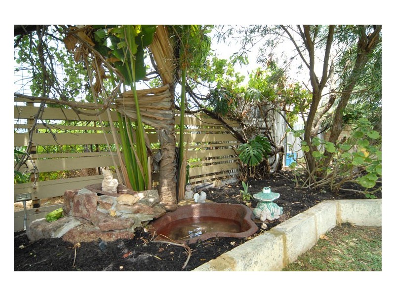 43 Tolley Court, Hamilton Hill WA 6163