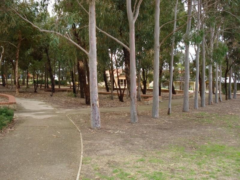 154 St Stephens Crescent, Tapping WA 6065