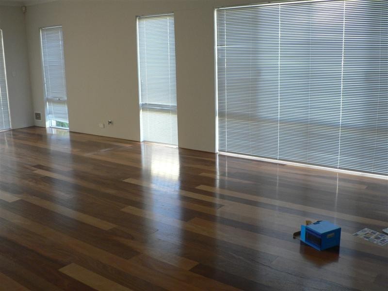 58 Birkett Street, Beeliar WA 6164