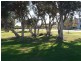 6 Pallarup Brace, Munster WA 6166