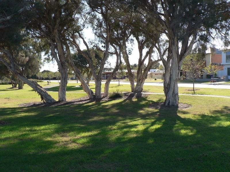 6 Pallarup Brace, Munster WA 6166