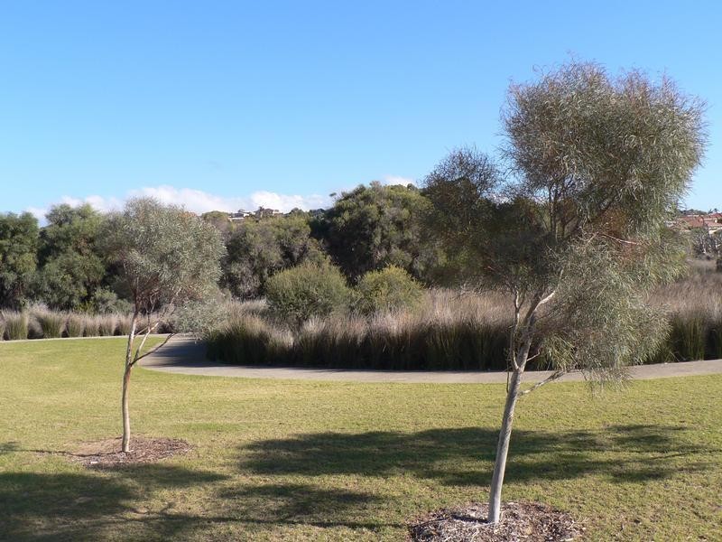6 Pallarup Brace, Munster WA 6166