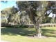 6 Pallarup Brace, Munster WA 6166