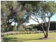 6 Pallarup Brace, Munster WA 6166